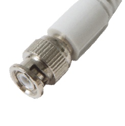 BNC (Q6)