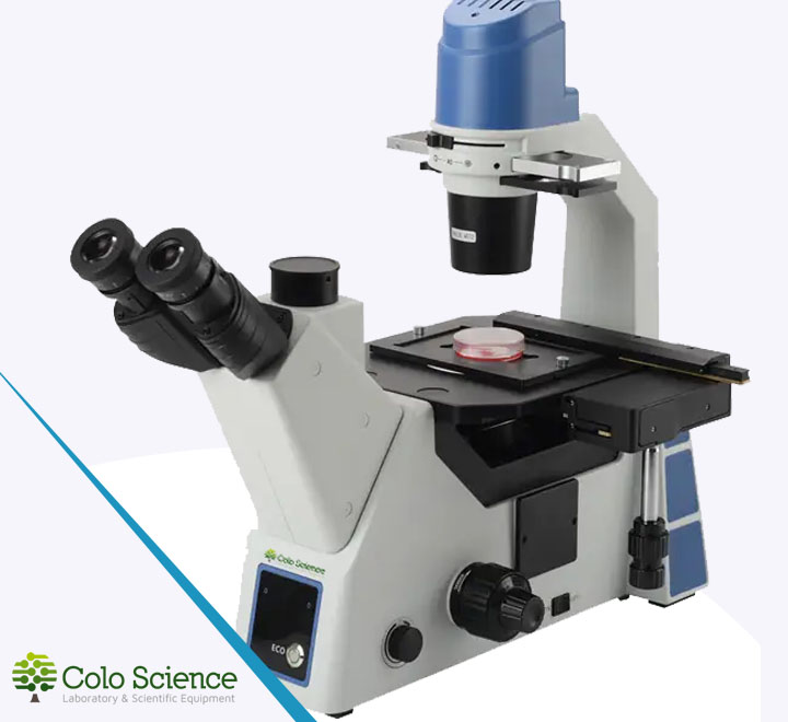 INVE800L research grade inverted microscope optical head