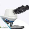 Microscope head with ceramic stage COLO.Science
