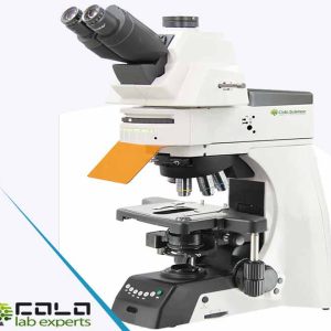 FLUO-UP950 Research Grade Fluorescence Microscope