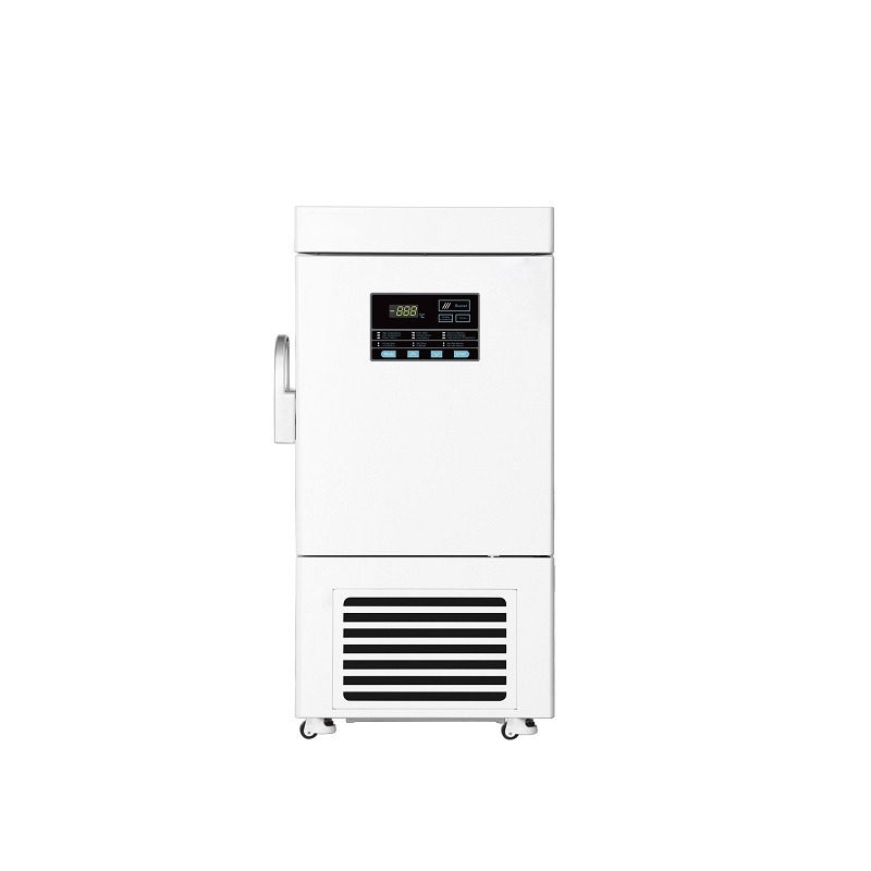 POLAR86-58V